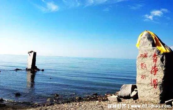 青海湖水怪之谜的真相 体长十几米似蛇颈龙(曾有几次目击事件)